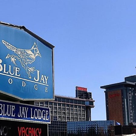 Blue Jay Lodge South Lake Tahoe Eksteriør billede